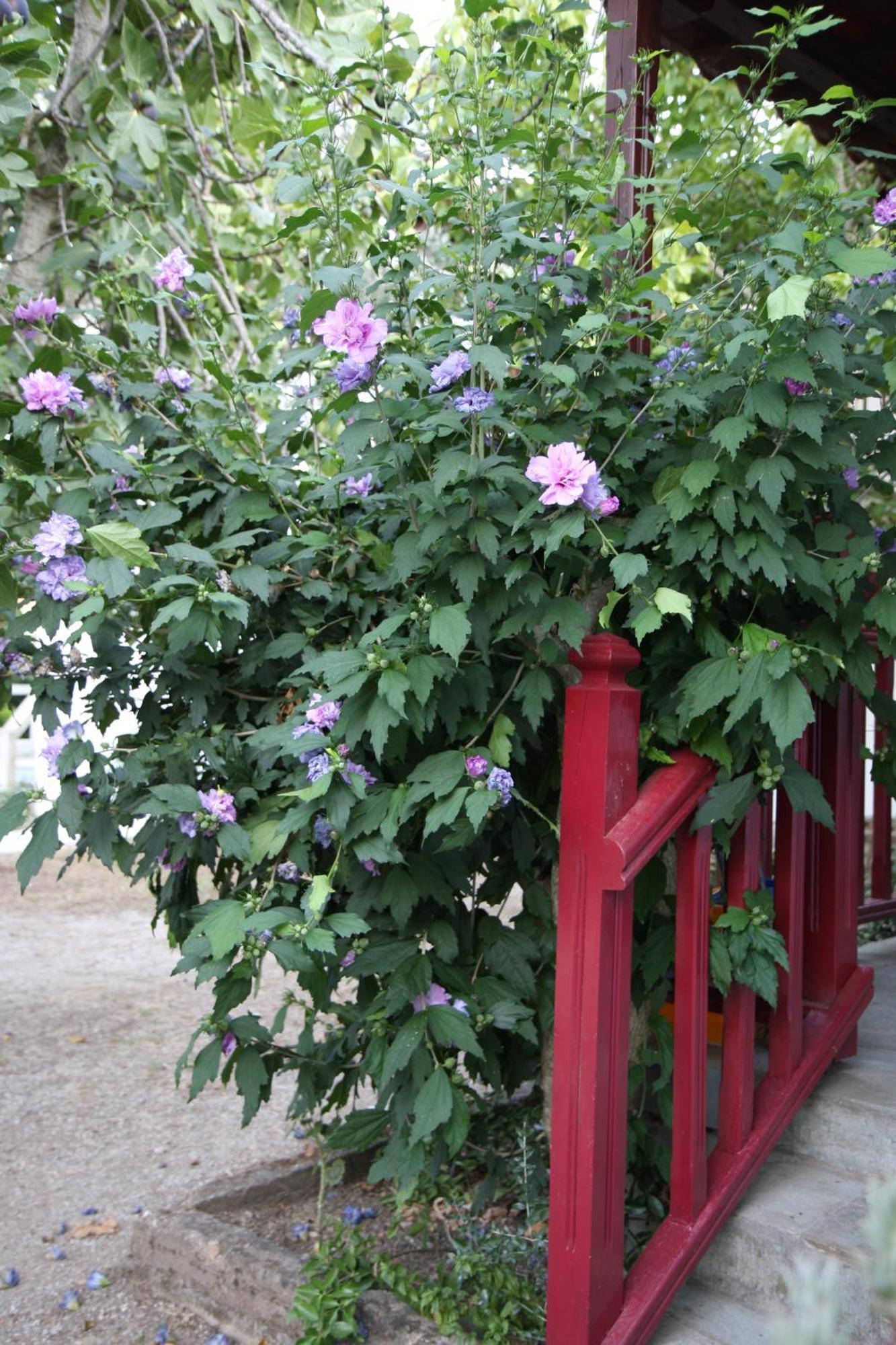 Villa Ble Bandar Skopelos Luaran gambar